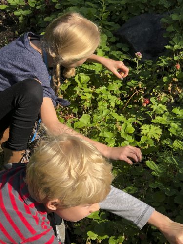 Want Kids To Love Gardening? Give Them A Job, Seeds, A Pass